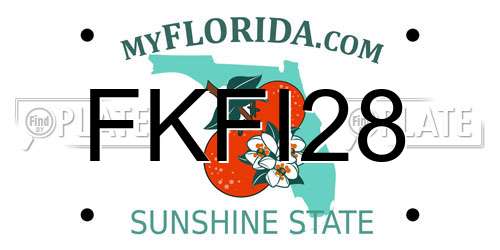 FKFI28 Florida License Plate