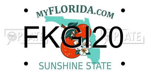 FKGI20 Florida License Plate