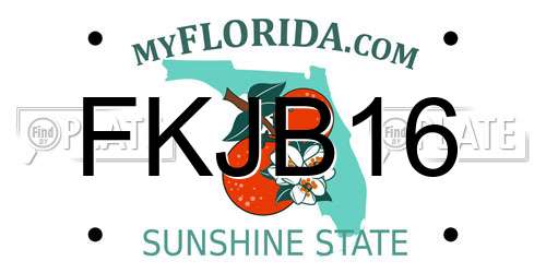 FKJB16 Florida License Plate