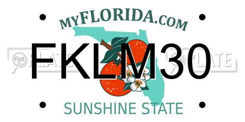 FKLM30 Florida License Plate