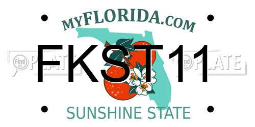FKST11 Florida License Plate