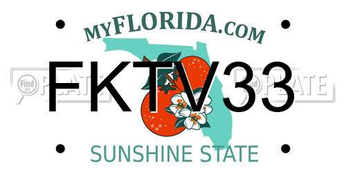 FKTV33 Florida License Plate