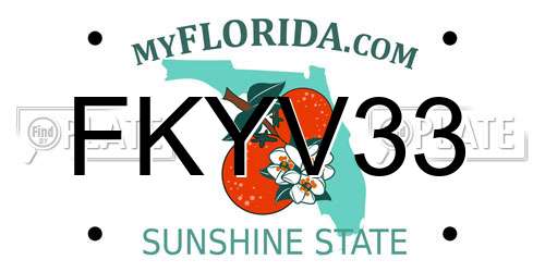 FKYV33 Florida License Plate