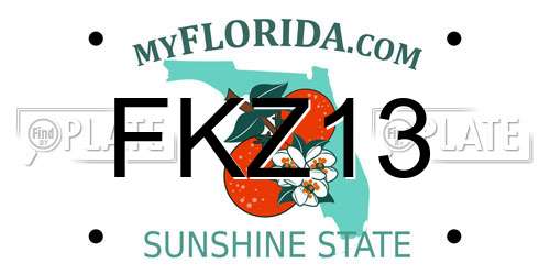 FKZ13 Florida License Plate