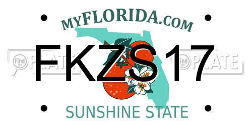FKZS17 Florida License Plate