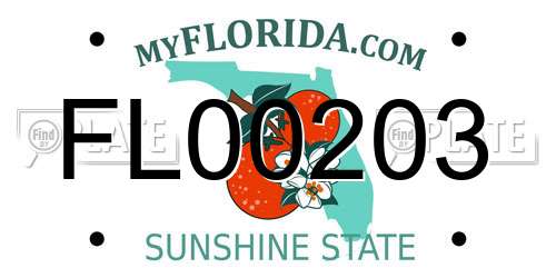 FL00203 Florida License Plate