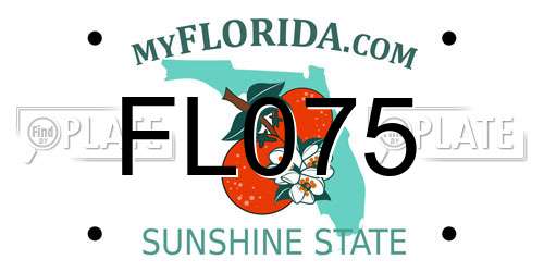 FL075 Florida License Plate