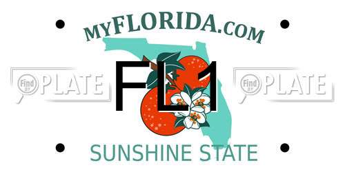 FL1 Florida License Plate