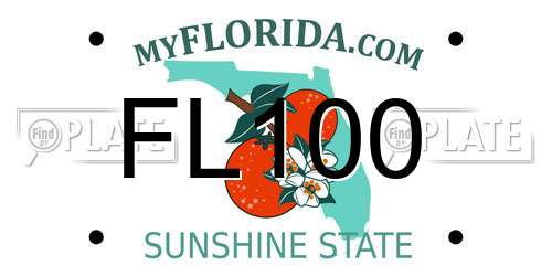 FL100 Florida License Plate