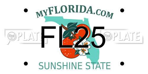 FL25 Florida License Plate