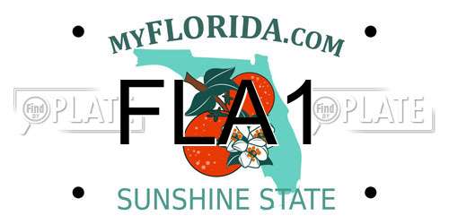 FLA1 Florida License Plate