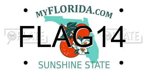 FLAG14 Florida License Plate