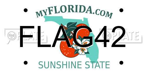 FLAG42 Florida License Plate