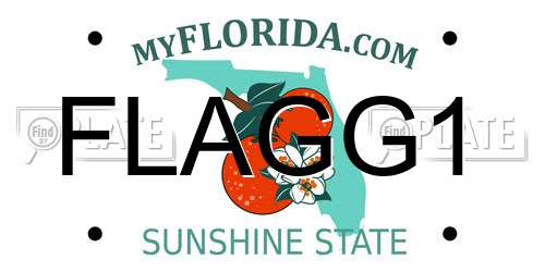 FLAGG1 Florida License Plate