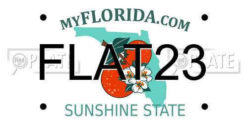 FLAT23 Florida License Plate