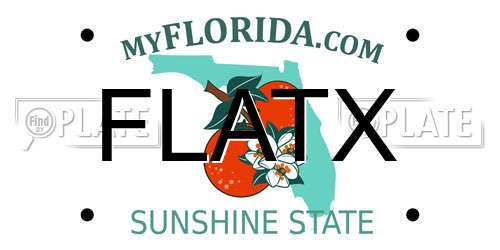 FLATX Florida License Plate