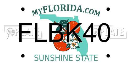 FLBK40 Florida License Plate