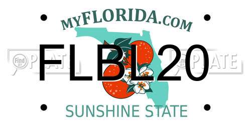 FLBL20 Florida License Plate