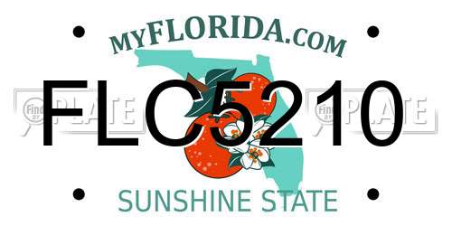 FLC5210 Florida License Plate