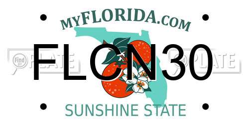 FLCN30 Florida License Plate