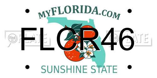 FLCR46 Florida License Plate