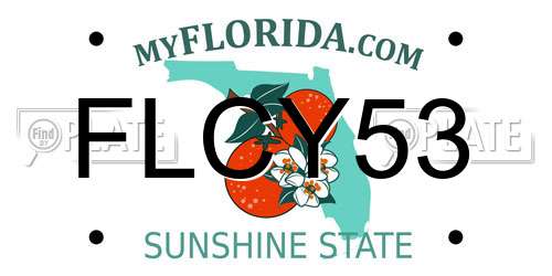 FLCY53 Florida License Plate