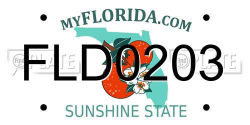 FLD0203 Florida License Plate