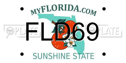 FLD69 Florida License Plate