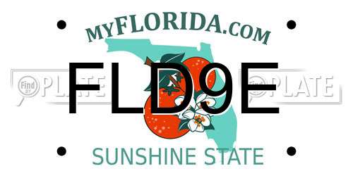 FLD9E Florida License Plate