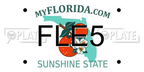 FLE5 Florida License Plate