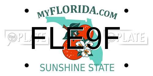FLE9F Florida License Plate