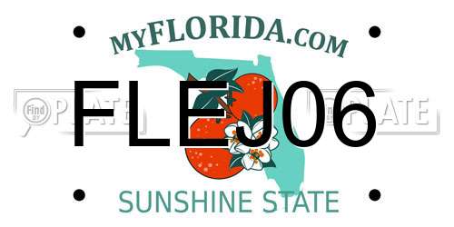 FLEJ06 Florida License Plate