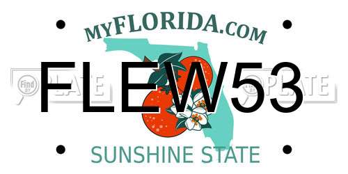 FLEW53 Florida License Plate