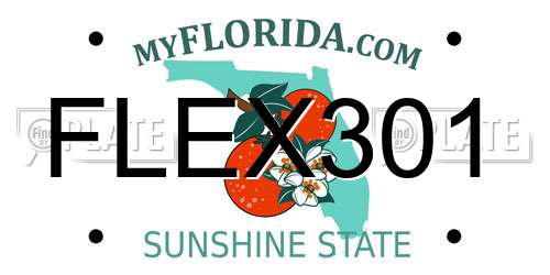 FLEX301 Florida License Plate