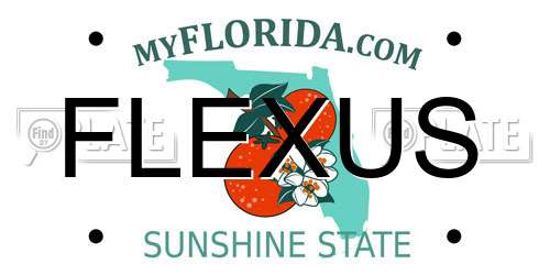 FLEXUS Florida License Plate