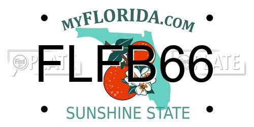 FLFB66 Florida License Plate