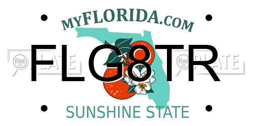 FLG8TR Florida License Plate