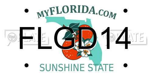 FLGD14 Florida License Plate