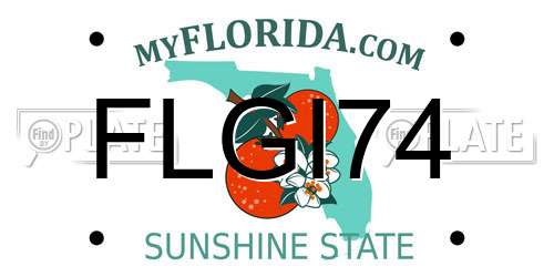 FLGI74 Florida License Plate