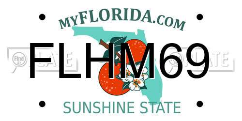 FLHM69 Florida License Plate