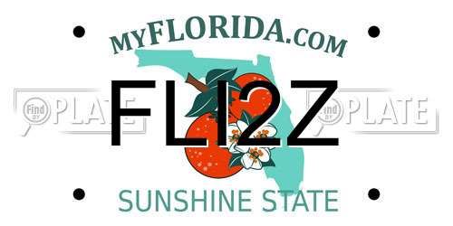 FLI2Z Florida License Plate