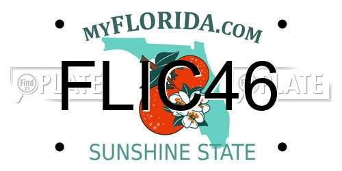 FLIC46 Florida License Plate