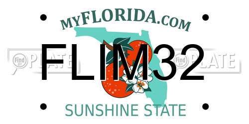 FLIM32 Florida License Plate