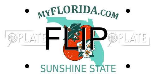 FLIP Florida License Plate