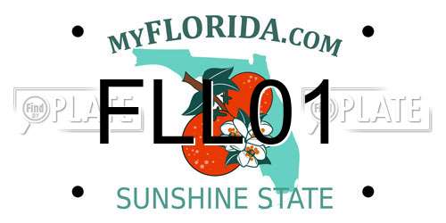 FLL01 Florida License Plate