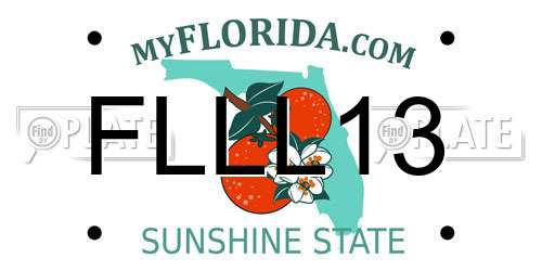 FLLL13 Florida License Plate