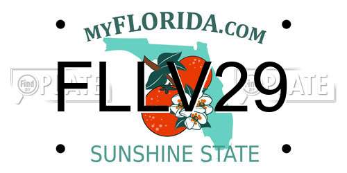 FLLV29 Florida License Plate