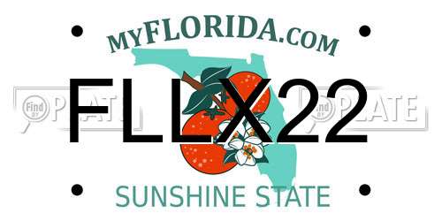 FLLX22 Florida License Plate