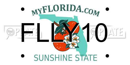 FLLY10 Florida License Plate