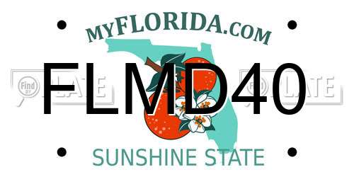 FLMD40 Florida License Plate